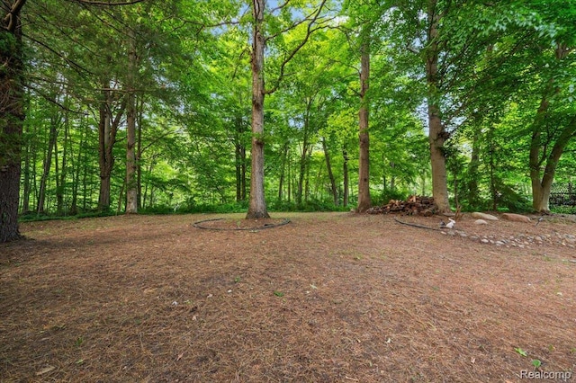 2696 Cedar Key Dr, Lake Orion, MI 48360 - view of yard