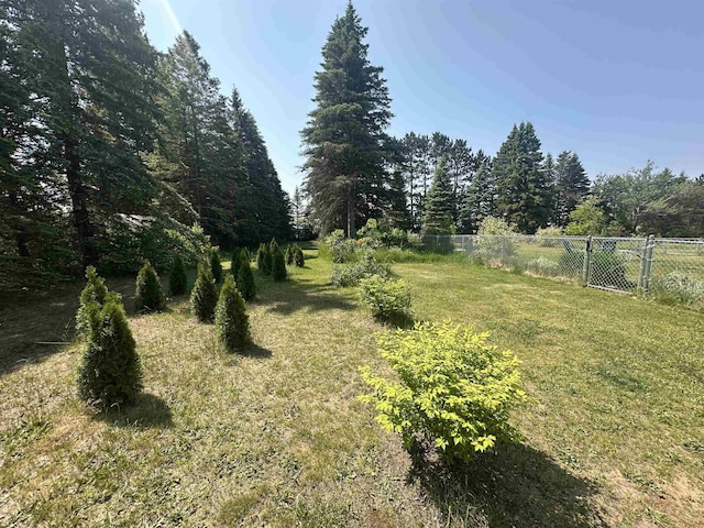 501 W 13th St, Cadillac, MI 49601 - view of yard