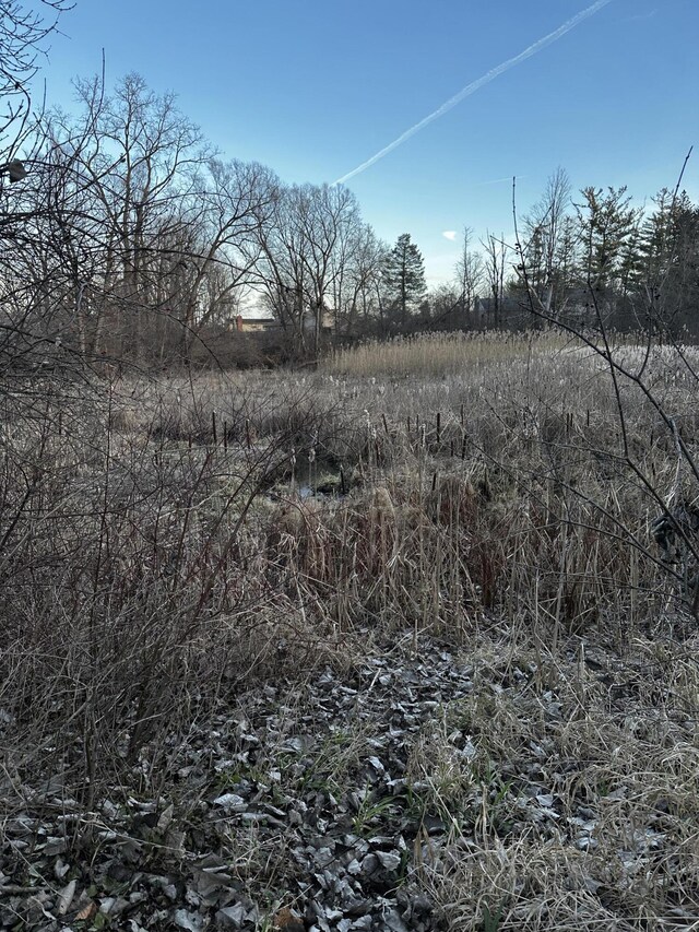 5653 Powder Horn Dr, West Bloomfield, MI 48322 - view of local wilderness
