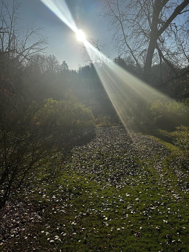 5653 Powder Horn Dr, West Bloomfield, MI 48322 - view of road with a forest view