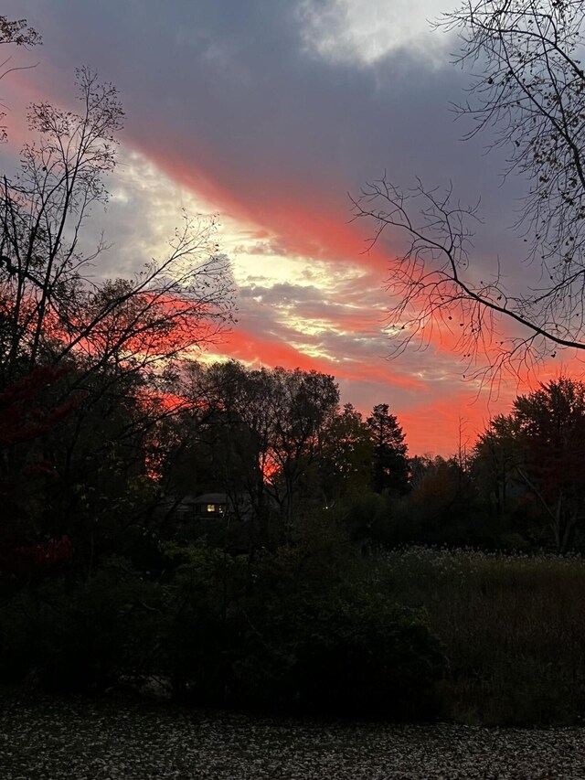 5653 Powder Horn Dr, West Bloomfield, MI 48322 - view of nature at dusk