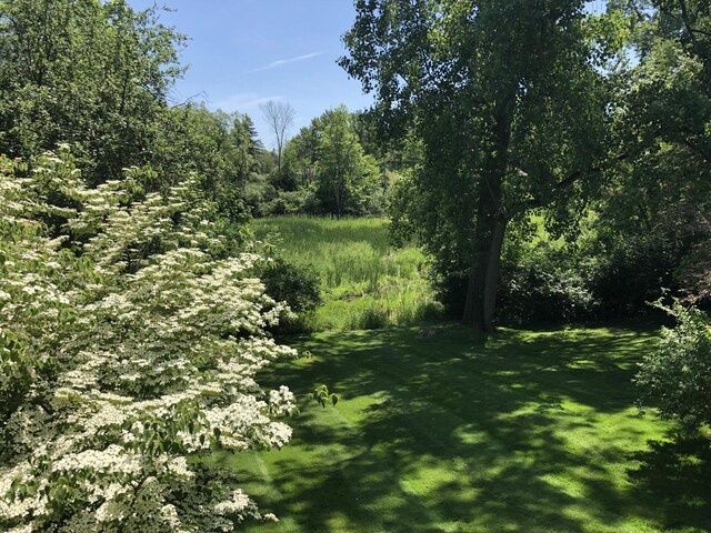 5653 Powder Horn Dr, West Bloomfield, MI 48322 - view of green lawn with a forest view