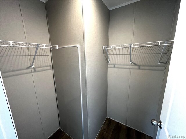 1048 Pheasant Dr, Bay City, MI 48706 - walk in closet with dark wood-style floors