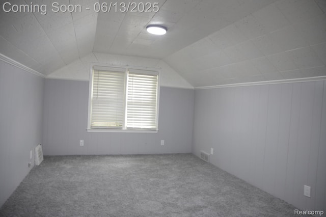 9037 Longacre St, Detroit, MI 48228 - additional living space featuring carpet, vaulted ceiling, and wooden walls