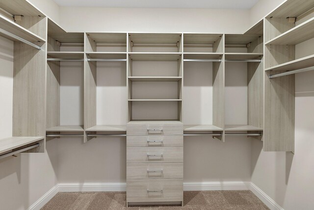 7479 Gramercy Cir W, Bloomfield, MI 48322 - spacious closet with carpet flooring