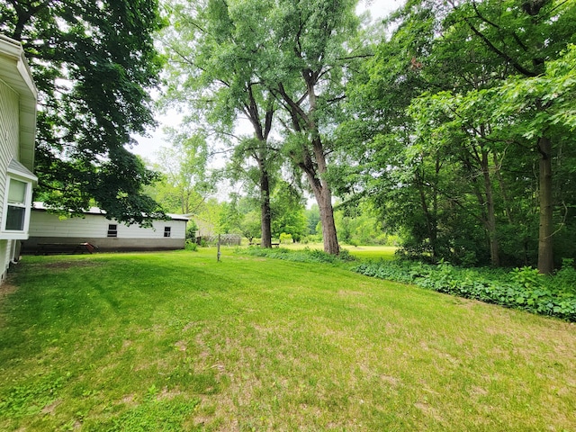 10765 Northland Dr, Big Rapids, MI 49307 - view of grassy yard