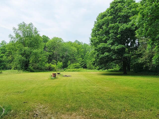 10765 Northland Dr, Big Rapids, MI 49307 - view of green lawn