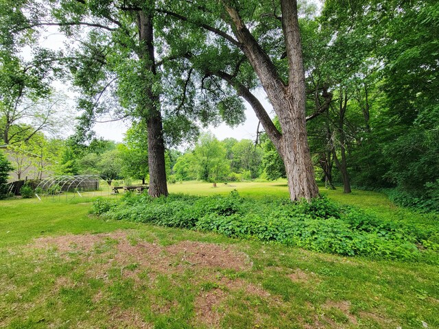 10765 Northland Dr, Big Rapids, MI 49307 - view of yard