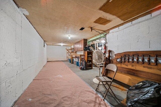 10765 Northland Dr, Big Rapids, MI 49307 - unfinished below grade area with concrete block wall