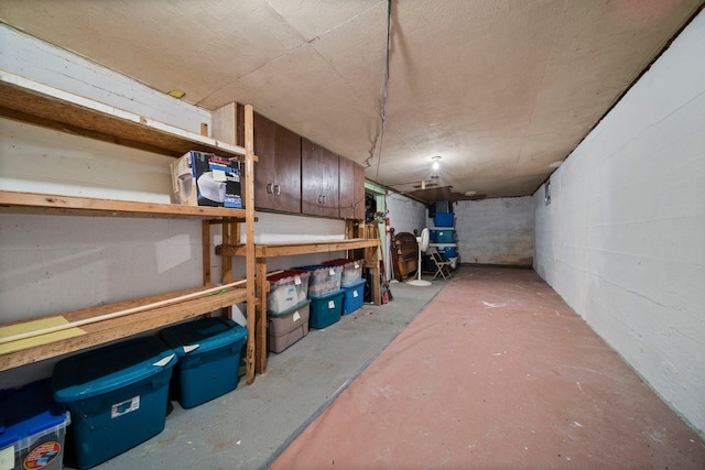 10765 Northland Dr, Big Rapids, MI 49307 - view of storage room
