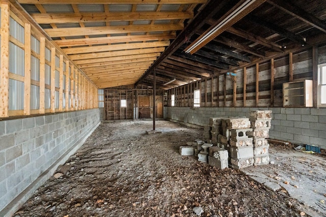 10765 Northland Dr, Big Rapids, MI 49307 - misc room with concrete block wall and vaulted ceiling