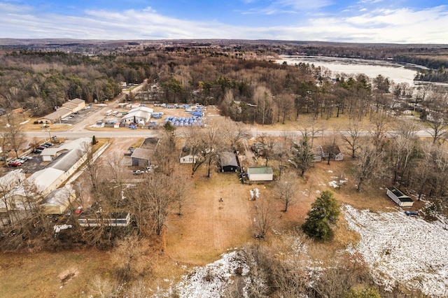 10765 Northland Dr, Big Rapids, MI 49307 - aerial view of property's location