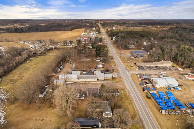 10765 Northland Dr, Big Rapids, MI 49307 - aerial view of property and surrounding area