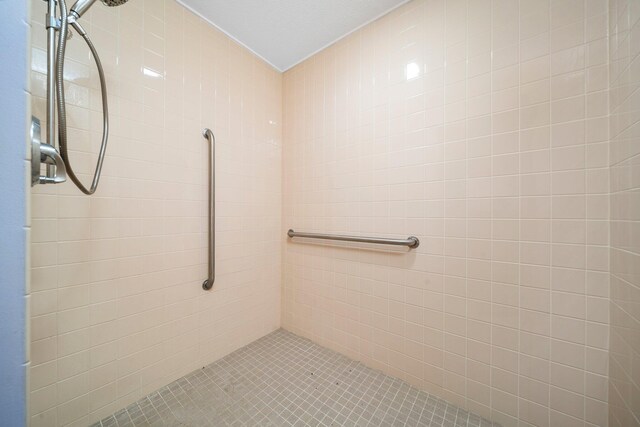 10765 Northland Dr, Big Rapids, MI 49307 - full bath featuring tiled shower and tile patterned floors