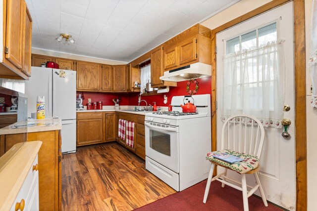 10765 Northland Dr, Big Rapids, MI 49307 - kitchen featuring white appliances, under cabinet range hood, brown cabinets, and light countertops