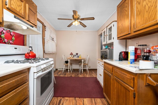 10765 Northland Dr, Big Rapids, MI 49307 - kitchen with white gas range, under cabinet range hood, a ceiling fan, dark wood finished floors, and light countertops