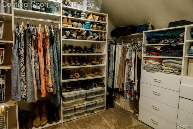 619 E Farnum Ave, Royal Oak, MI 48067 - spacious closet with carpet