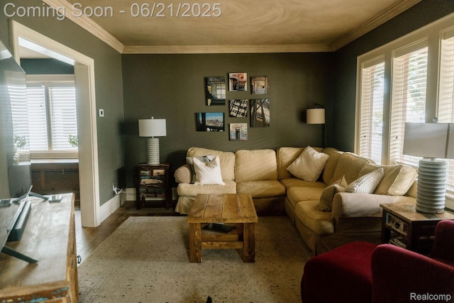 619 E Farnum Ave, Royal Oak, MI 48067 - living room featuring healthy amount of natural light, wood finished floors, and ornamental molding