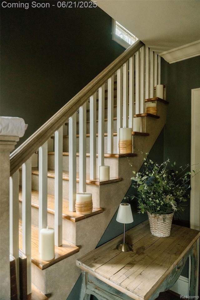 619 E Farnum Ave, Royal Oak, MI 48067 - stairs with ornamental molding