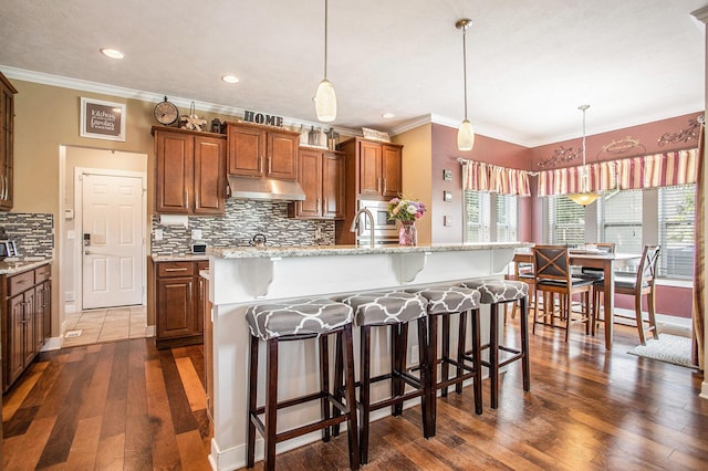 7990 Hemel Ln, Richland, MI 49083 - kitchen featuring under cabinet range hood, dark wood-style flooring, tasteful backsplash, a breakfast bar area, and pendant lighting