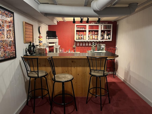 261 W Main St, Hart, MI 49420 - indoor wet bar with wooden walls and dark carpet