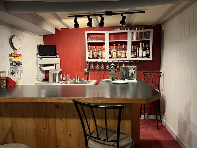 261 W Main St, Hart, MI 49420 - indoor wet bar featuring wood walls