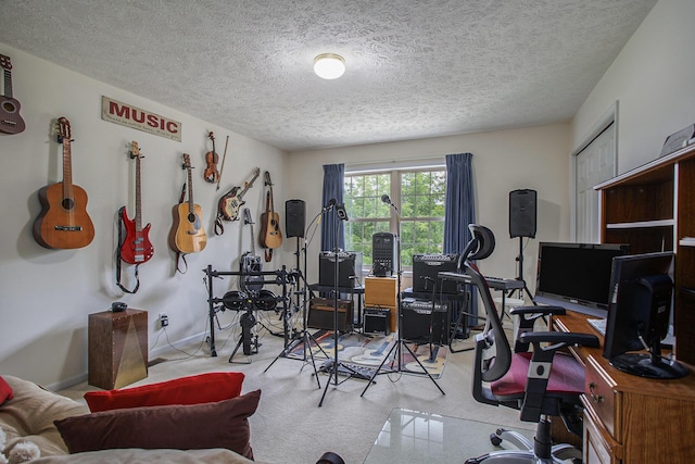 17872 Victors Ln, Marshall, MI 49068 - office with a textured ceiling and carpet