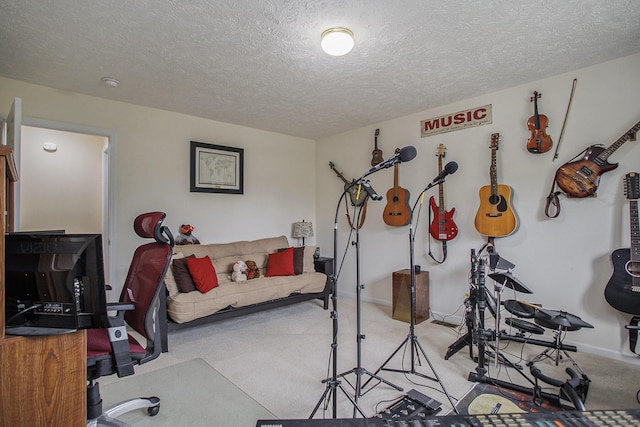 17872 Victors Ln, Marshall, MI 49068 - exercise area with carpet floors and a textured ceiling