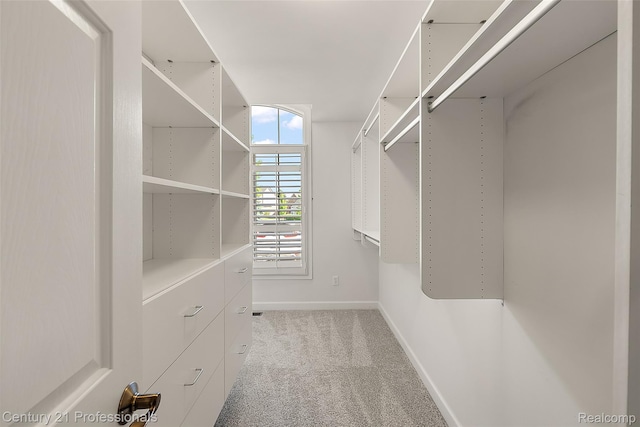 4013 Ardsley Ct, Clarkston, MI 48348 - spacious closet with carpet flooring