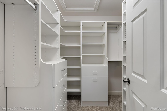 4013 Ardsley Ct, Clarkston, MI 48348 - view of walk in closet