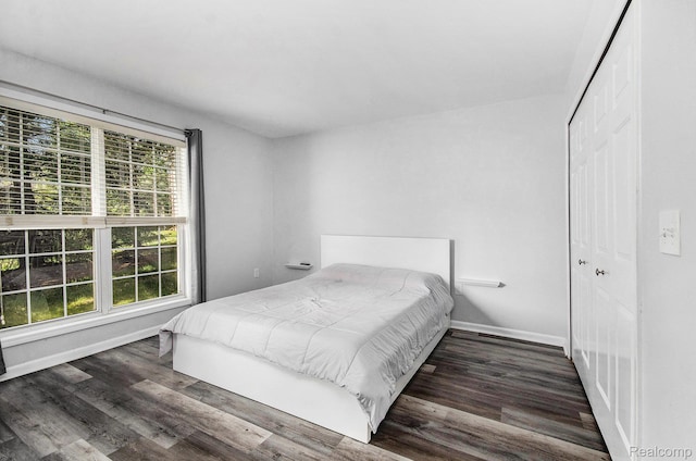 28139 Carlton Way Dr, Novi, MI 48377 - bedroom with dark wood-type flooring and a closet