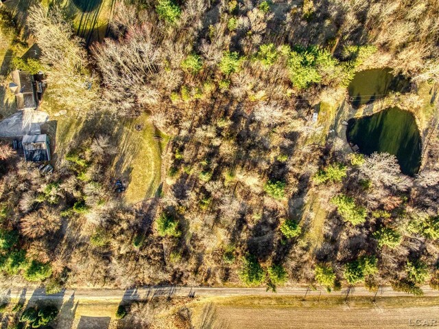 13936 Allen Rd, Clinton, MI 49236 - drone / aerial view