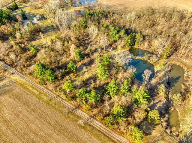 13936 Allen Rd, Clinton, MI 49236 - aerial view