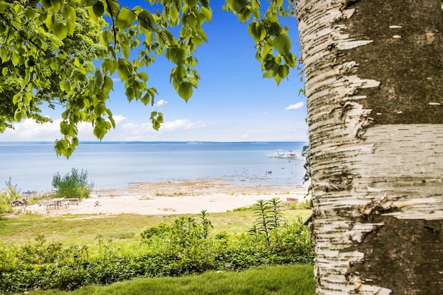 4455 Happy Hour Ln, Traverse City, MI 49686 - photo 7