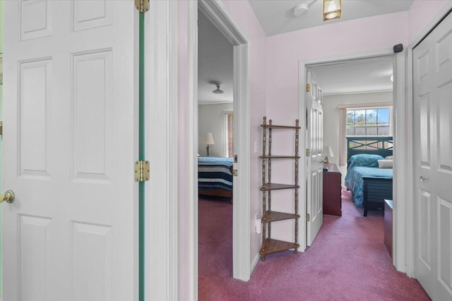 3059 Ailsa Craig, Ann Arbor, MI 48108 - hall featuring carpet flooring