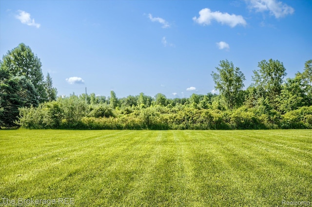 1484 E Baldwin Rd, Grand Blanc, MI 48439 - view of grassy yard