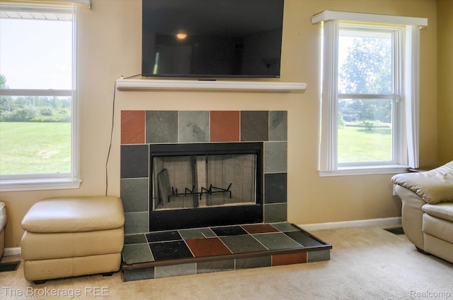 1484 E Baldwin Rd, Grand Blanc, MI 48439 - detailed view of carpet and a tiled fireplace