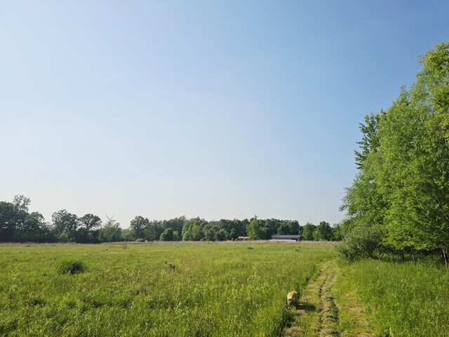 9159 Moreland Rd, Jerome, MI 49249 - photo 56