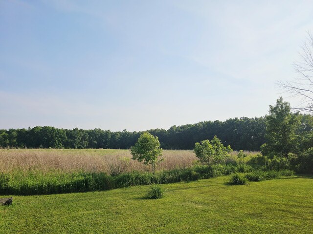 9159 Moreland Rd, Jerome, MI 49249 - photo 41
