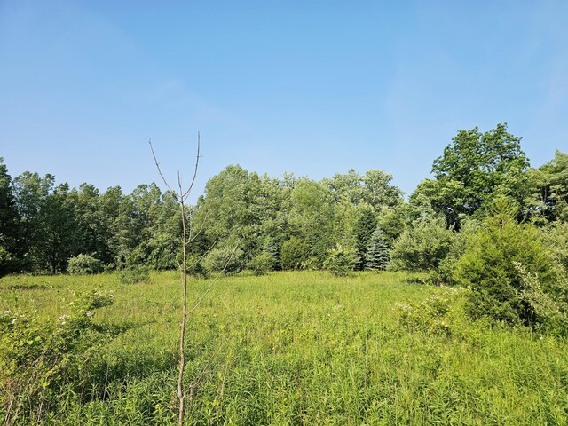 9159 Moreland Rd, Jerome, MI 49249 - photo 42