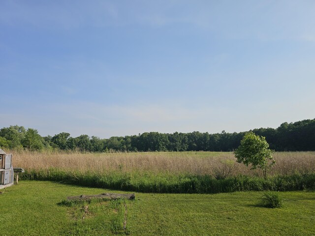 9159 Moreland Rd, Jerome, MI 49249 - photo 43