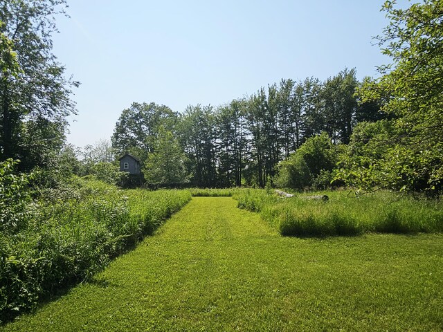 9159 Moreland Rd, Jerome, MI 49249 - photo 44