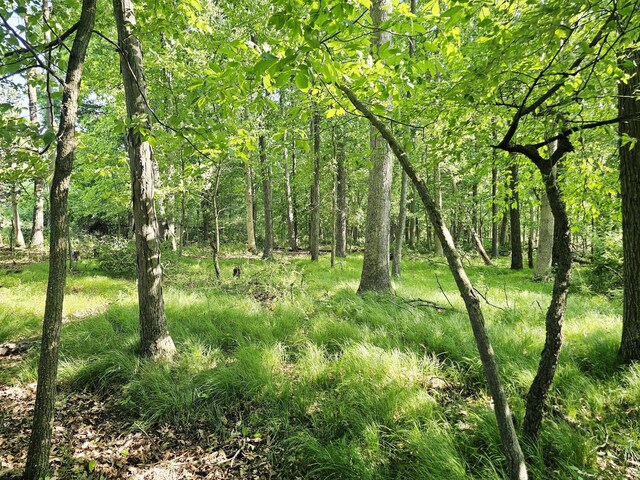 9159 Moreland Rd, Jerome, MI 49249 - photo 49