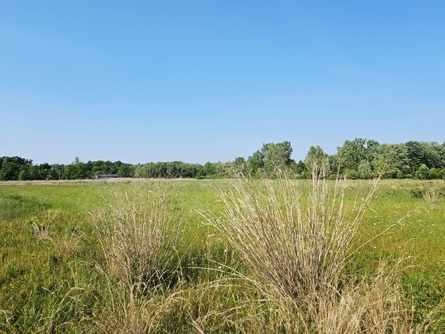 9159 Moreland Rd, Jerome, MI 49249 - photo 55