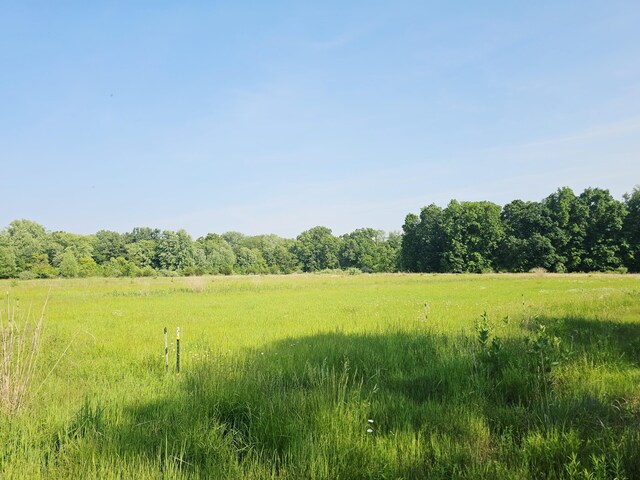 9159 Moreland Rd, Jerome, MI 49249 - photo 53