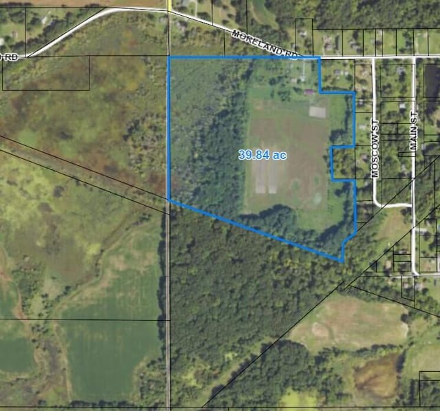9159 Moreland Rd, Jerome, MI 49249 - photo 8