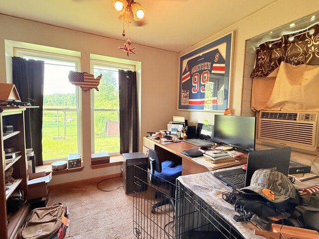 9159 Moreland Rd, Jerome, MI 49249 - photo 28