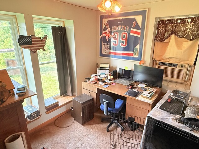 9159 Moreland Rd, Jerome, MI 49249 - photo 27
