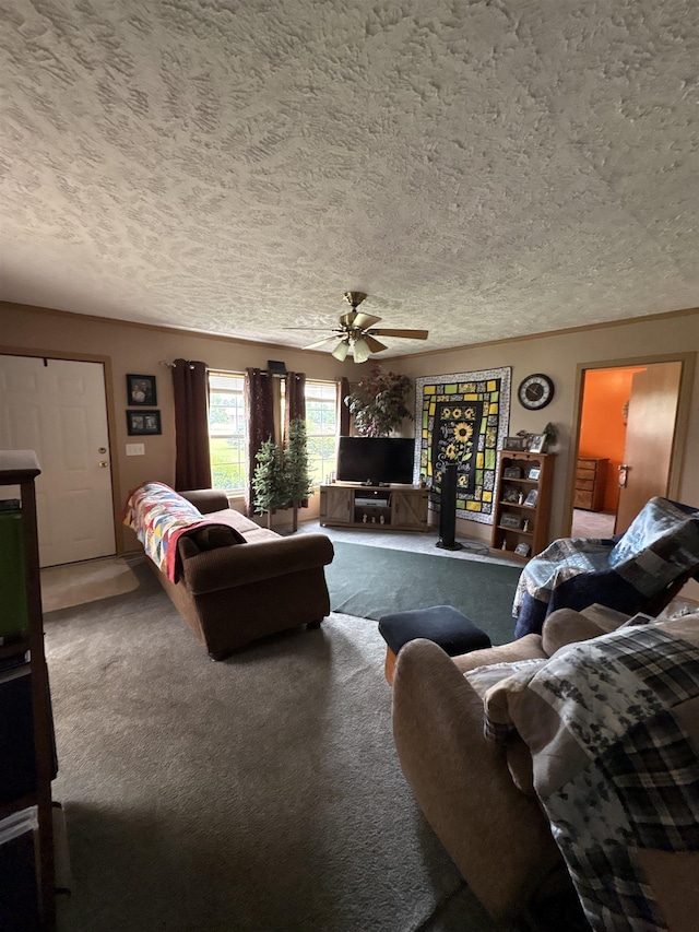 9233 Gary Rd, Chesaning, MI 48616 - carpeted living room featuring a textured ceiling and a ceiling fan