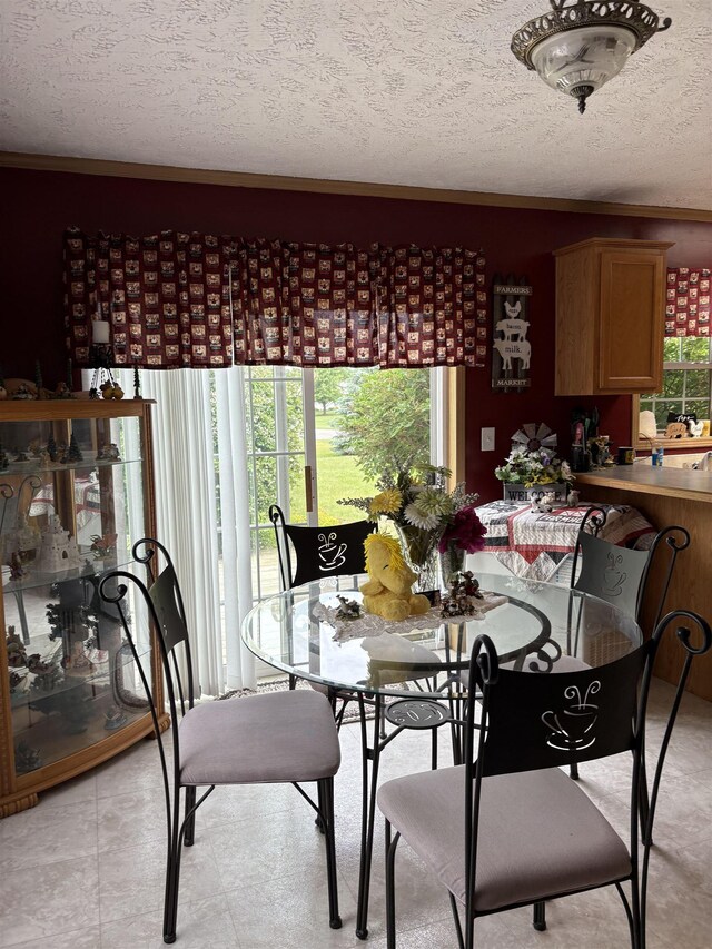 9233 Gary Rd, Chesaning, MI 48616 - dining room with a textured ceiling